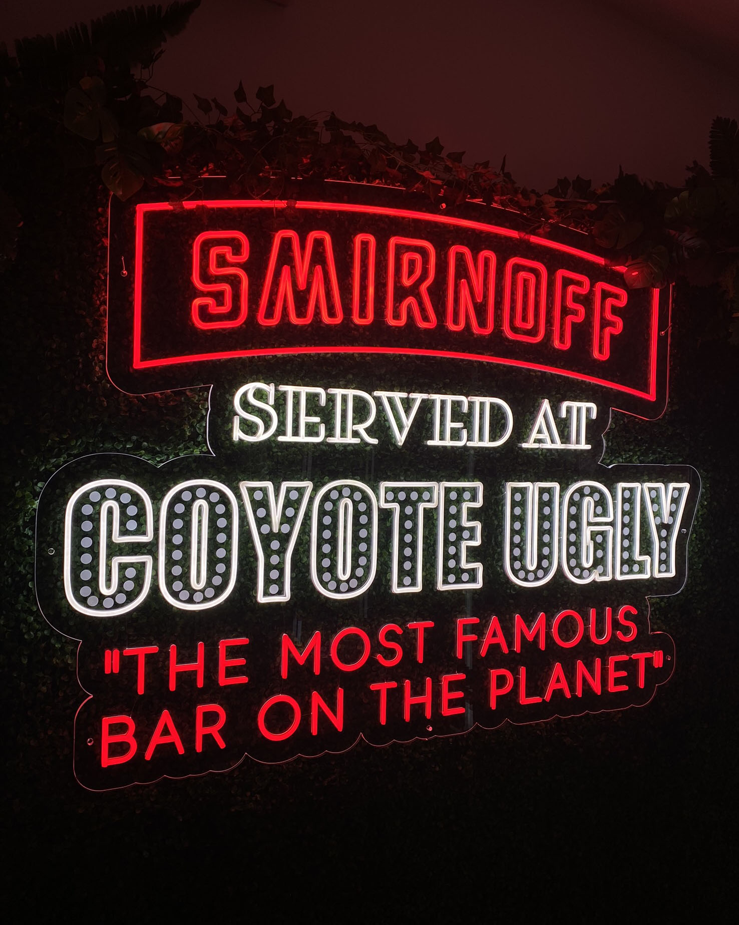 Coyote Ugly