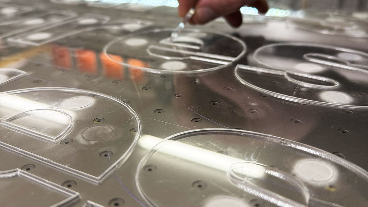 Edge-Perfect Print & Cut Precision