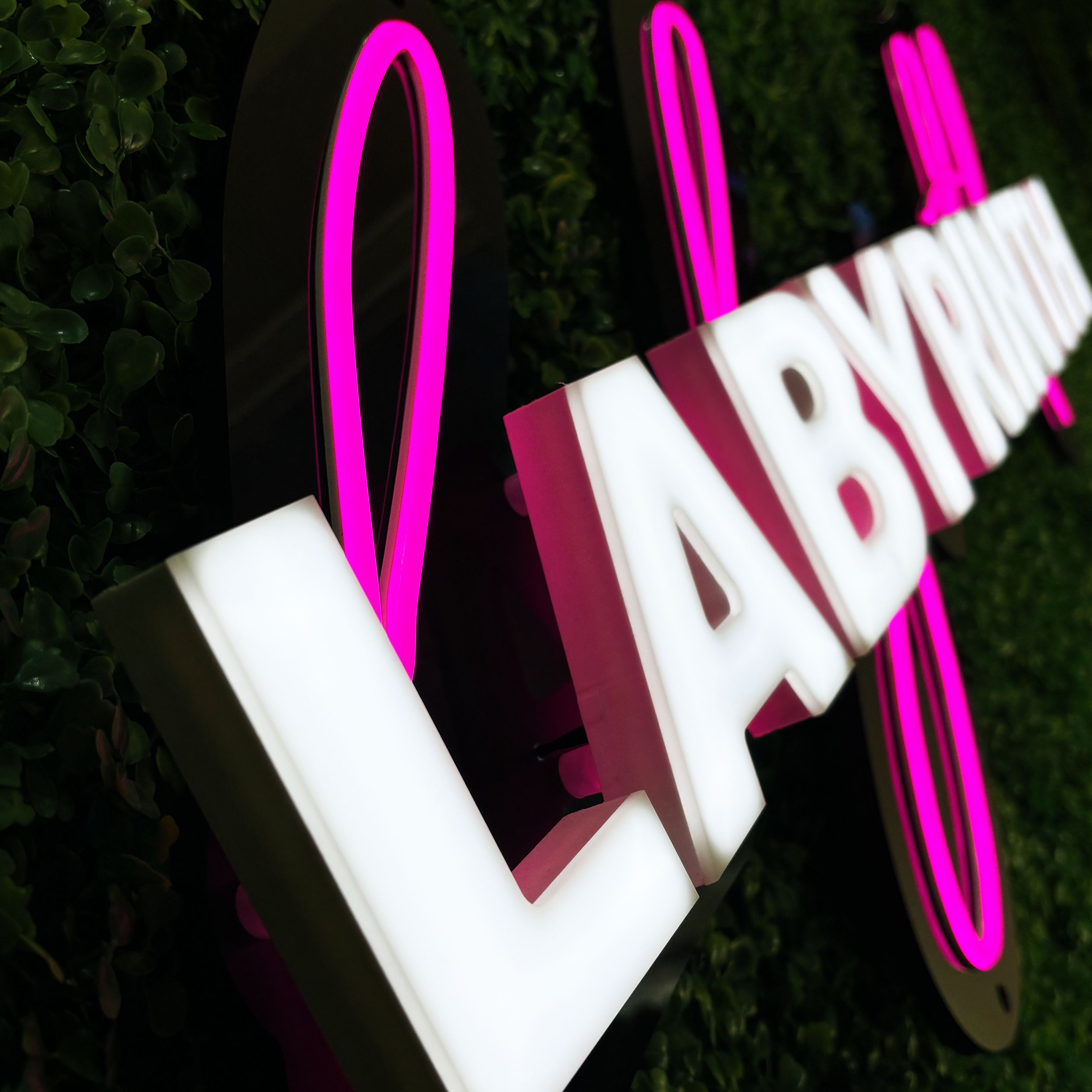 Material & Finish Options